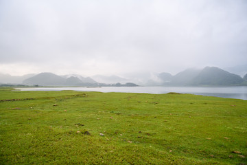 什么是生物的种和界？